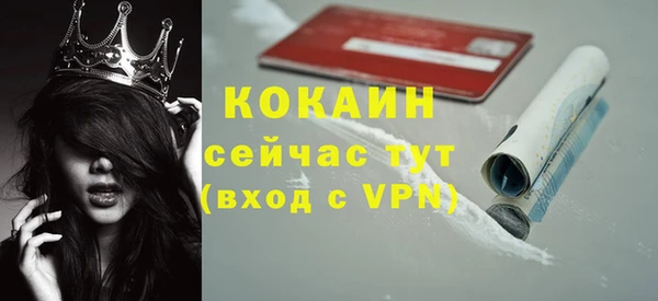 ПСИЛОЦИБИНОВЫЕ ГРИБЫ Белоозёрский