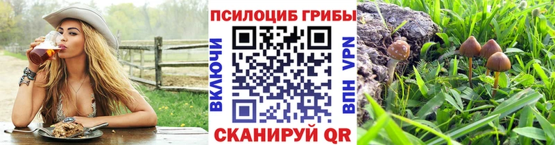 Галлюциногенные грибы MAGIC MUSHROOMS  Бирск 